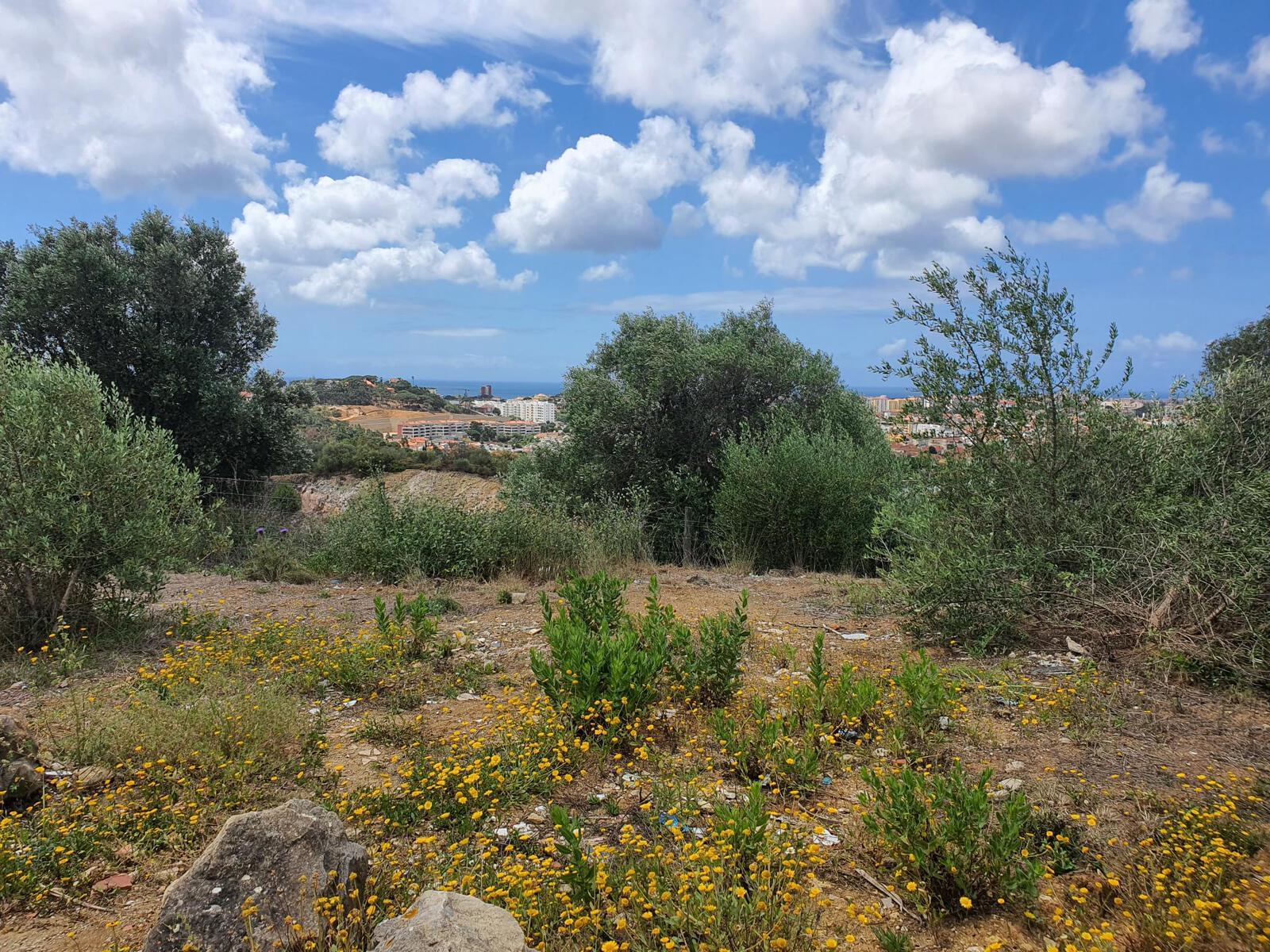 Plot with 12672 sqm in Alcabideche